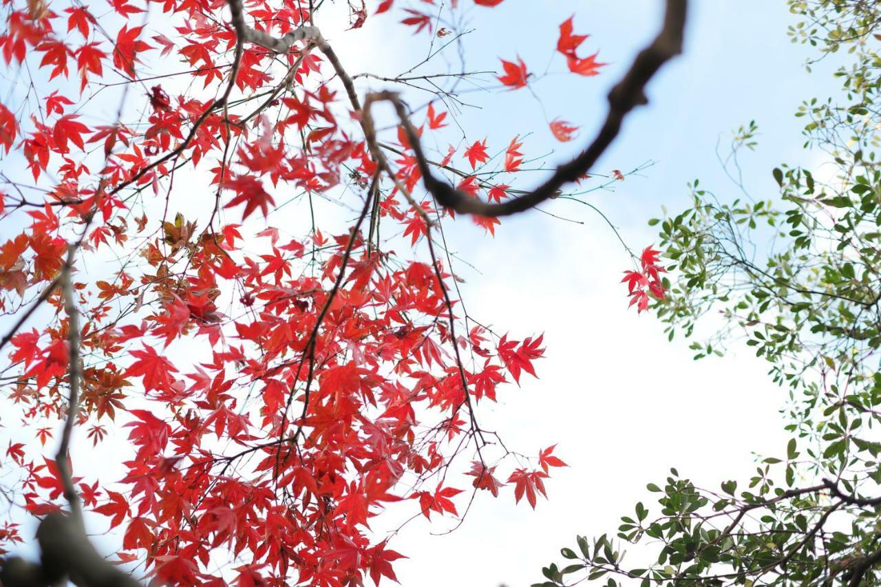Ryokan Tanoya Kyoto Luaran gambar